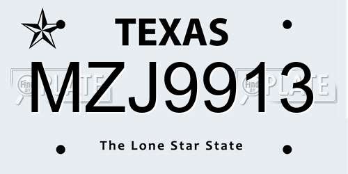 MZJ9913 Texas License Plate