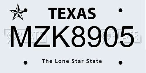 MZK8905 Texas License Plate