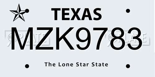 MZK9783 Texas License Plate