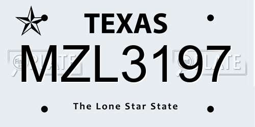 MZL3197 Texas License Plate