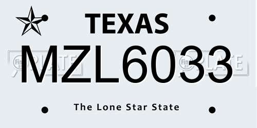 MZL6033 Texas License Plate