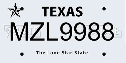 MZL9988 Texas License Plate