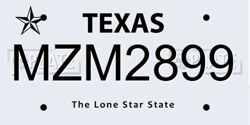 MZM2899 Texas License Plate