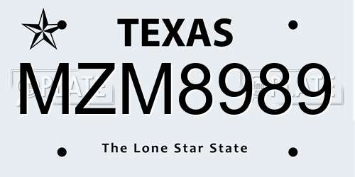 MZM8989 Texas License Plate