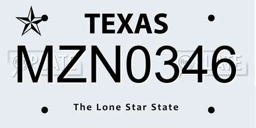 MZN0346 Texas License Plate