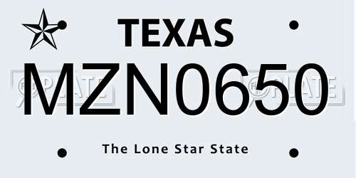 MZN0650 Texas License Plate