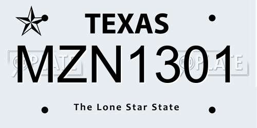 MZN1301 Texas License Plate