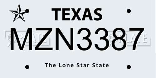 MZN3387 Texas License Plate