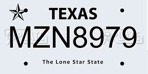 MZN8979 Texas License Plate