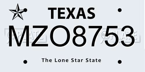 MZO8753 Texas License Plate