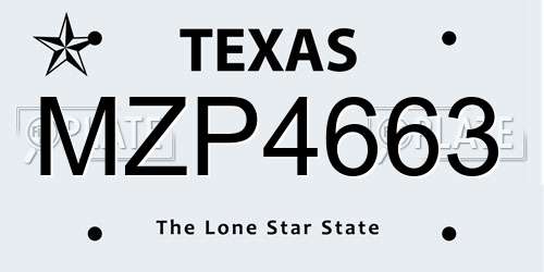 MZP4663 Texas License Plate