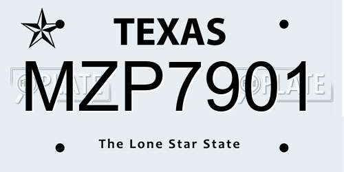 MZP7901 Texas License Plate
