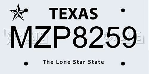 MZP8259 Texas License Plate