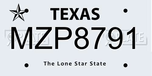 MZP8791 Texas License Plate