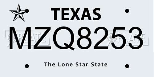 MZQ8253 Texas License Plate