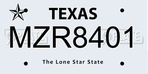 MZR8401 Texas License Plate