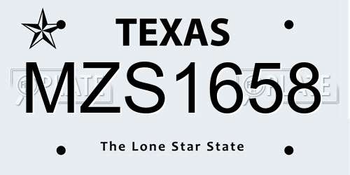 MZS1658 Texas License Plate
