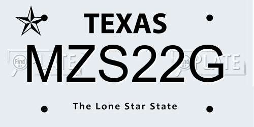 MZS22G Texas License Plate