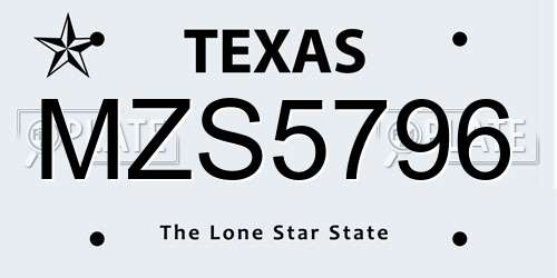 MZS5796 Texas License Plate