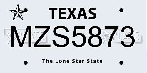 MZS5873 Texas License Plate