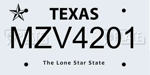 MZV4201 Texas License Plate