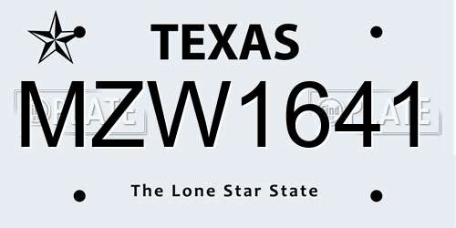 MZW1641 Texas License Plate