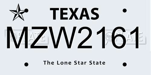 MZW2161 Texas License Plate