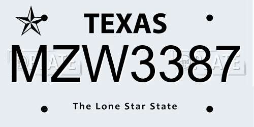 MZW3387 Texas License Plate