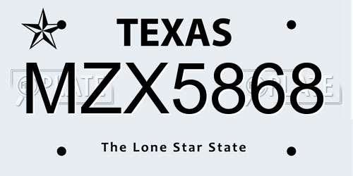MZX5868 Texas License Plate
