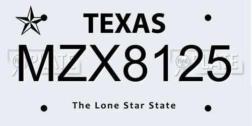 MZX8125 Texas License Plate