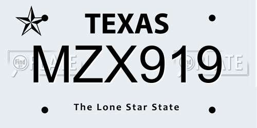 MZX919 Texas License Plate