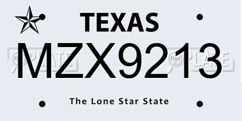 MZX9213 Texas License Plate
