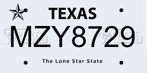 MZY8729 Texas License Plate