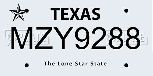 MZY9288 Texas License Plate