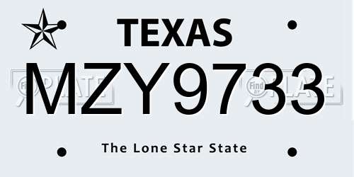 MZY9733 Texas License Plate