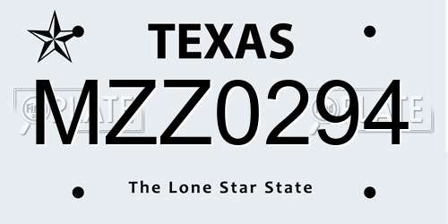 MZZ0294 Texas License Plate