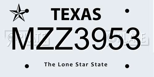 MZZ3953 Texas License Plate