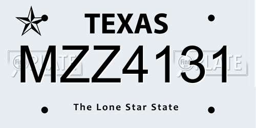 MZZ4131 Texas License Plate