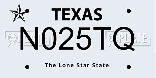 N025TQ Texas License Plate