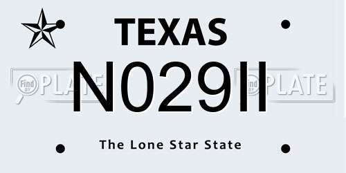 N029II Texas License Plate