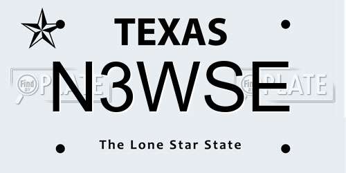 N3WSE Texas License Plate