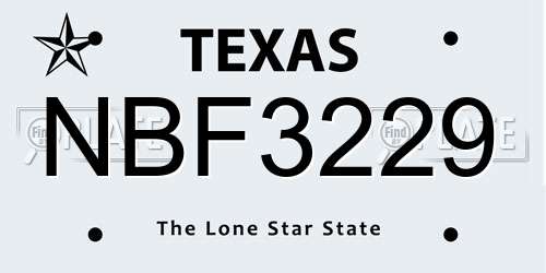 NBF3229 Texas License Plate