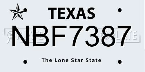 NBF7387 Texas License Plate