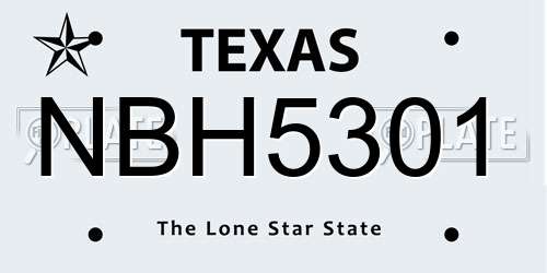 NBH5301 Texas License Plate