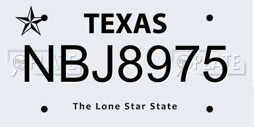 NBJ8975 Texas License Plate