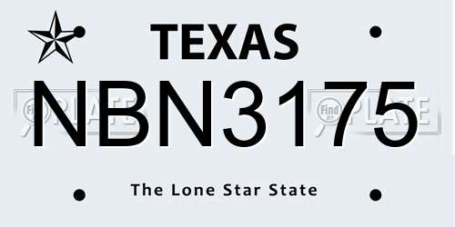 NBN3175 Texas License Plate