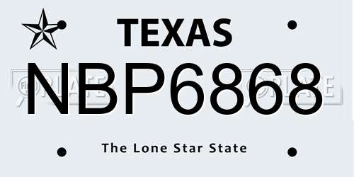 NBP6868 Texas License Plate