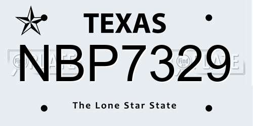 NBP7329 Texas License Plate