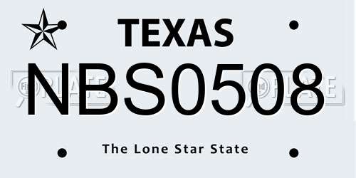 NBS0508 Texas License Plate