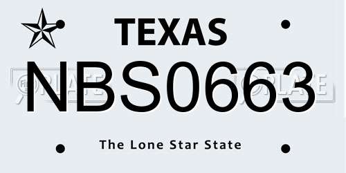 NBS0663 Texas License Plate